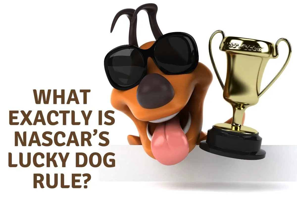 What Exactly Is Nascar’s Lucky Dog Rule