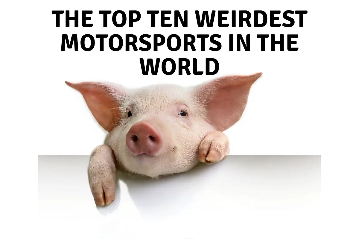 Top ten weirdest motorsports